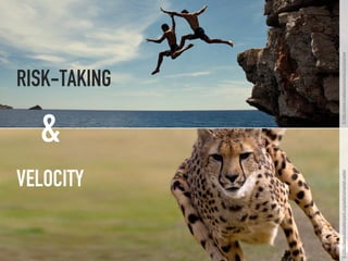 RISK-TAKING
VELOCITY
&
©http://www.sdzsafaripark.org/safari/cheetah-safari©http://www.malikadventures.com/journal
 