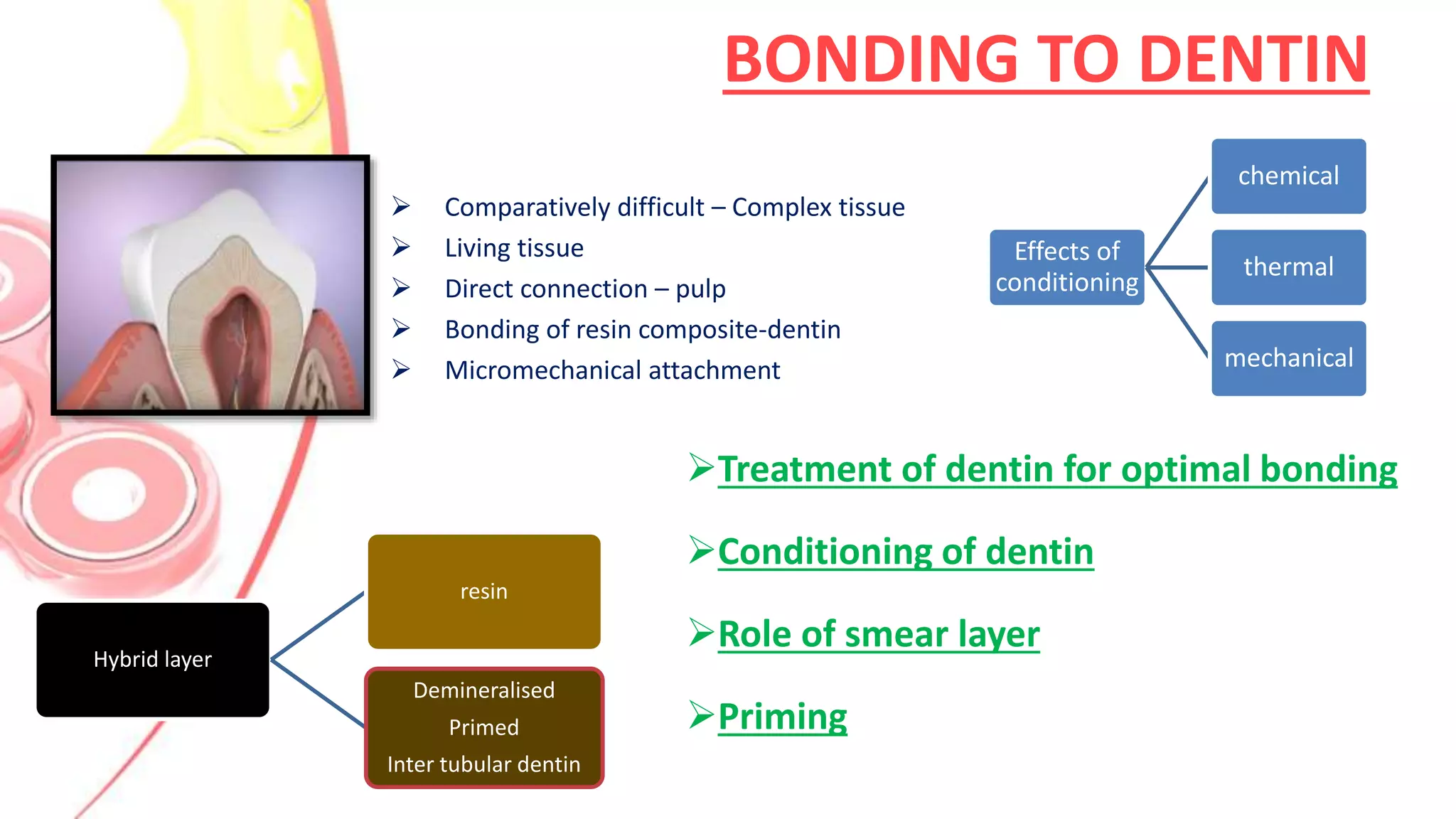 dentin bonding agents PPT