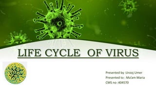 LIFE CYCLE OF VIRUS
Presented by :Urooj Umer
Presented to : Ma’am Maria
CMS no :404570
 