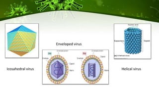 Icosahedral virus
Enveloped virus
Helical virus
 