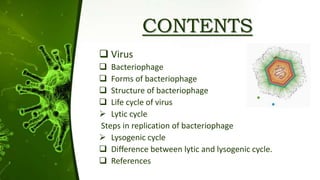 CONTENTS
 Virus
 Bacteriophage
 Forms of bacteriophage
 Structure of bacteriophage
 Life cycle of virus
 Lytic cycle
Steps in replication of bacteriophage
 Lysogenic cycle
 Difference between lytic and lysogenic cycle.
 References
 