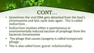 CONT...
• Sometimes the viral DNA gets detached from the host’s
chromosome and lytic cycle stats again . This is called
induction .
• Induction involves either a spontaneous or
environmentally induced excision of prophage from the
bacterial chromosome
• The phage that causes Lysogeny is called temperate
phage .
• This is also called host guest relationship.
 