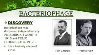 BACTERIOPHAGE
DISCOVERY
Bacteriophage was
discovered independently by
FRIEDRICK TWORT in
1915 and FELIX
D.HERELLE in 1917 .
 It is a basically a type of
virus Felix D. Herelle Fredrick Twort
 