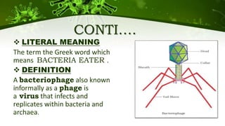 CONTI….
 LITERAL MEANING
The term the Greek word which
means BACTERIA EATER .
 DEFINITION
A bacteriophage also known
informally as a phage is
a virus that infects and
replicates within bacteria and
archaea.
 