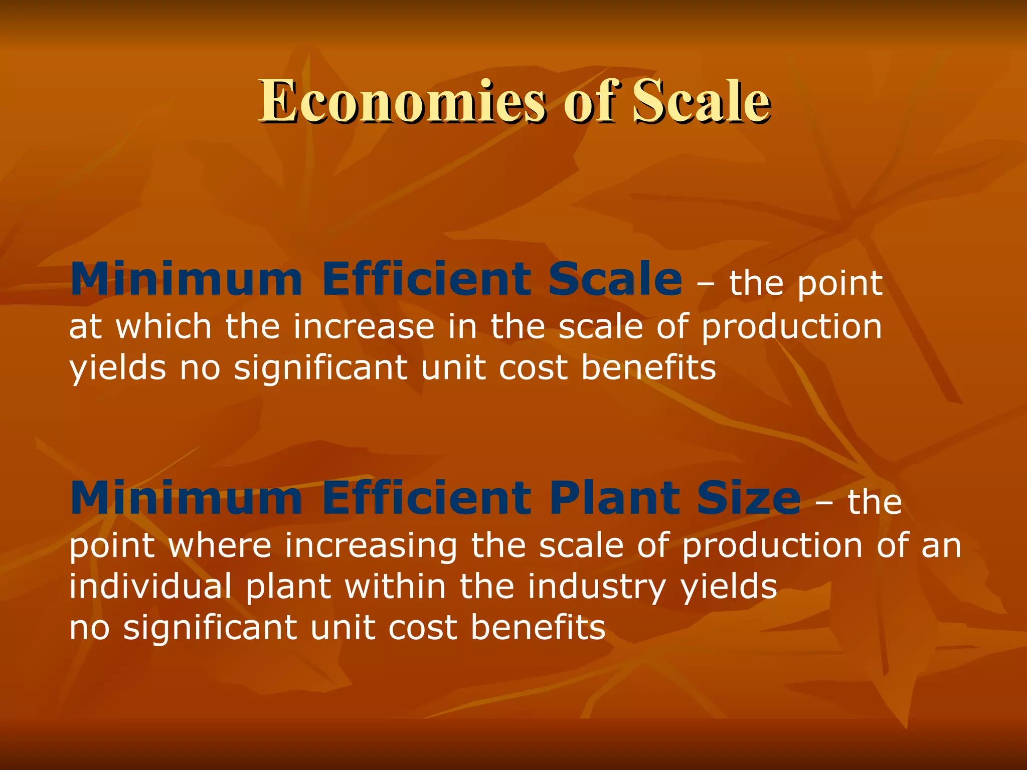 Economies of Scale Minimum Efficient Scale  – the point  at which the increase in the scale of production yields no significant unit cost benefits Minimum Efficient Plant Size  – the point where increasing the scale of production of an individual plant within the industry yields  no significant unit cost benefits 