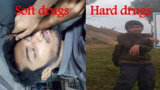 Hard drugsSoft drugs
 