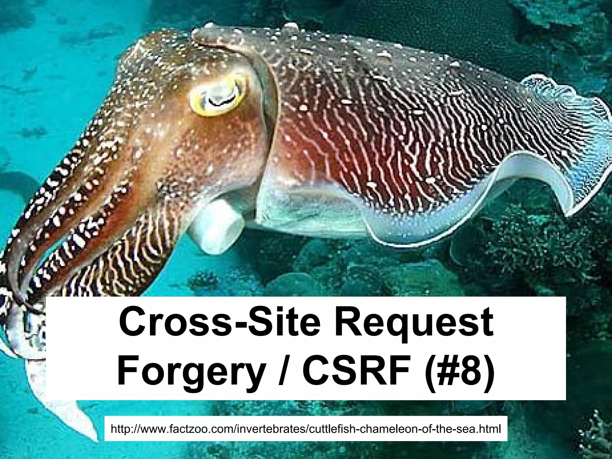 @asgrim
Cross-Site Request
Forgery / CSRF (#8)
http://www.factzoo.com/invertebrates/cuttlefish-chameleon-of-the-sea.html
 
