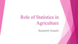 Role of Statistics in
Agriculture
Muzzamil Hussain
 