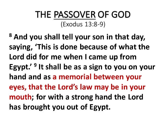 Memorial Day - A Sacrifice to Remember