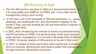 SRI Practice in Iran
 The first SRI practice was done in 2004 on 2 demonstration fields with
2 ha total paddy area (5000 ...