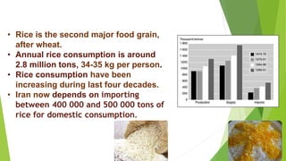 • Rice is the second major food grain,
after wheat.
• Annual rice consumption is around
2.8 million tons, 34-35 kg per person.
• Rice consumption have been
increasing during last four decades.
• Iran now depends on importing
between 400 000 and 500 000 tons of
rice for domestic consumption.
 