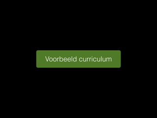 Voorbeeld curriculum
 