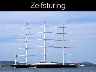 Zelfsturing
 