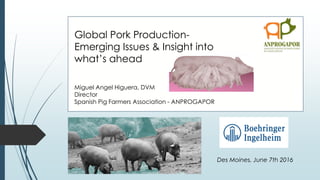 Des Moines, June 7th 2016
Global Pork Production-
Emerging Issues & Insight into
what’s ahead
Miguel Angel Higuera, DVM
Director
Spanish Pig Farmers Association - ANPROGAPOR
 