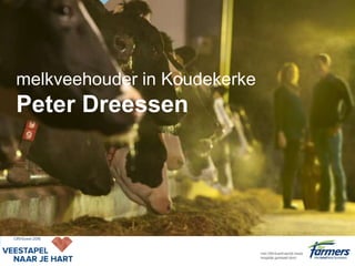 melkveehouder in Koudekerke
Peter Dreessen
 