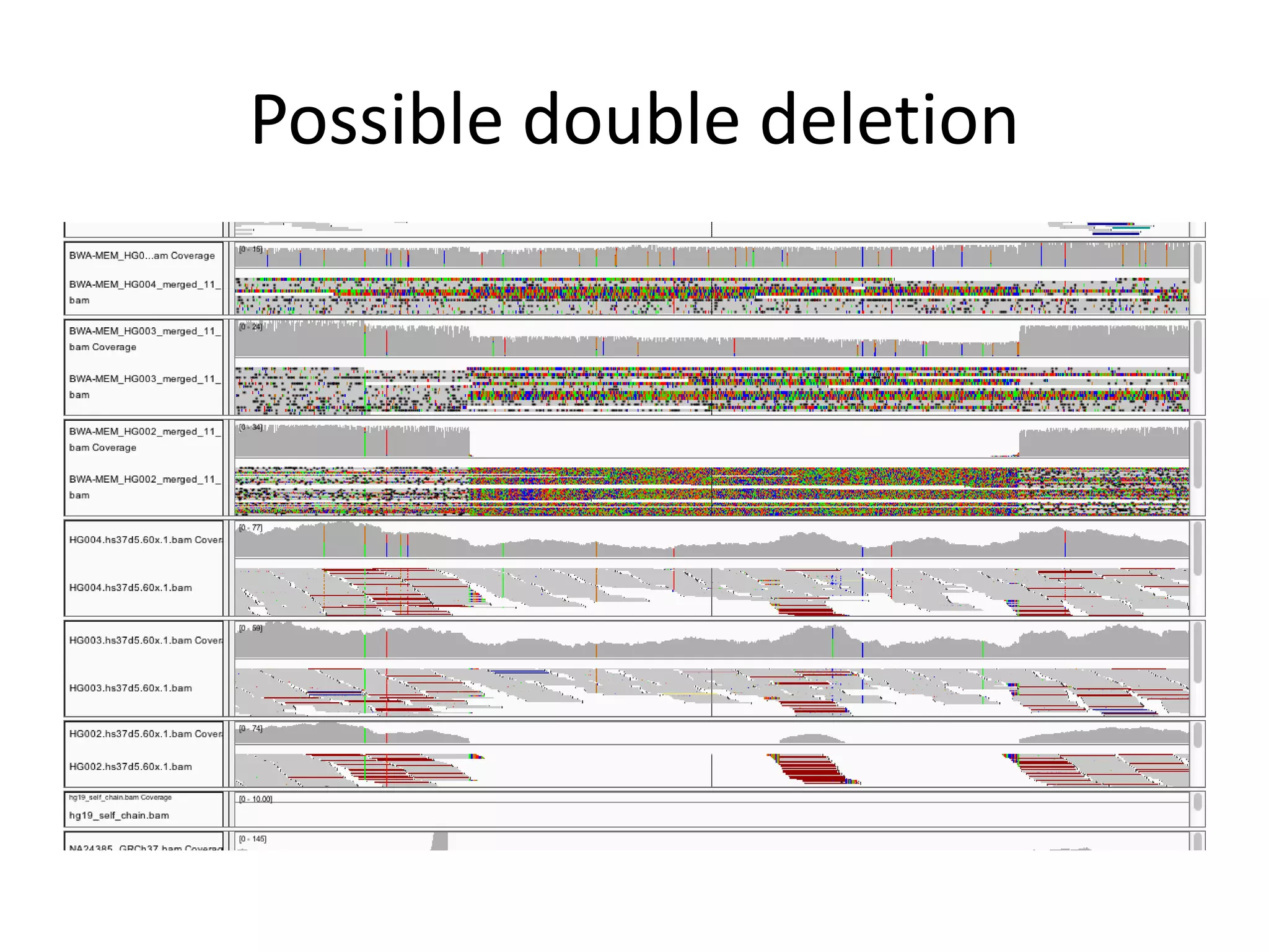 Possible double deletion
 