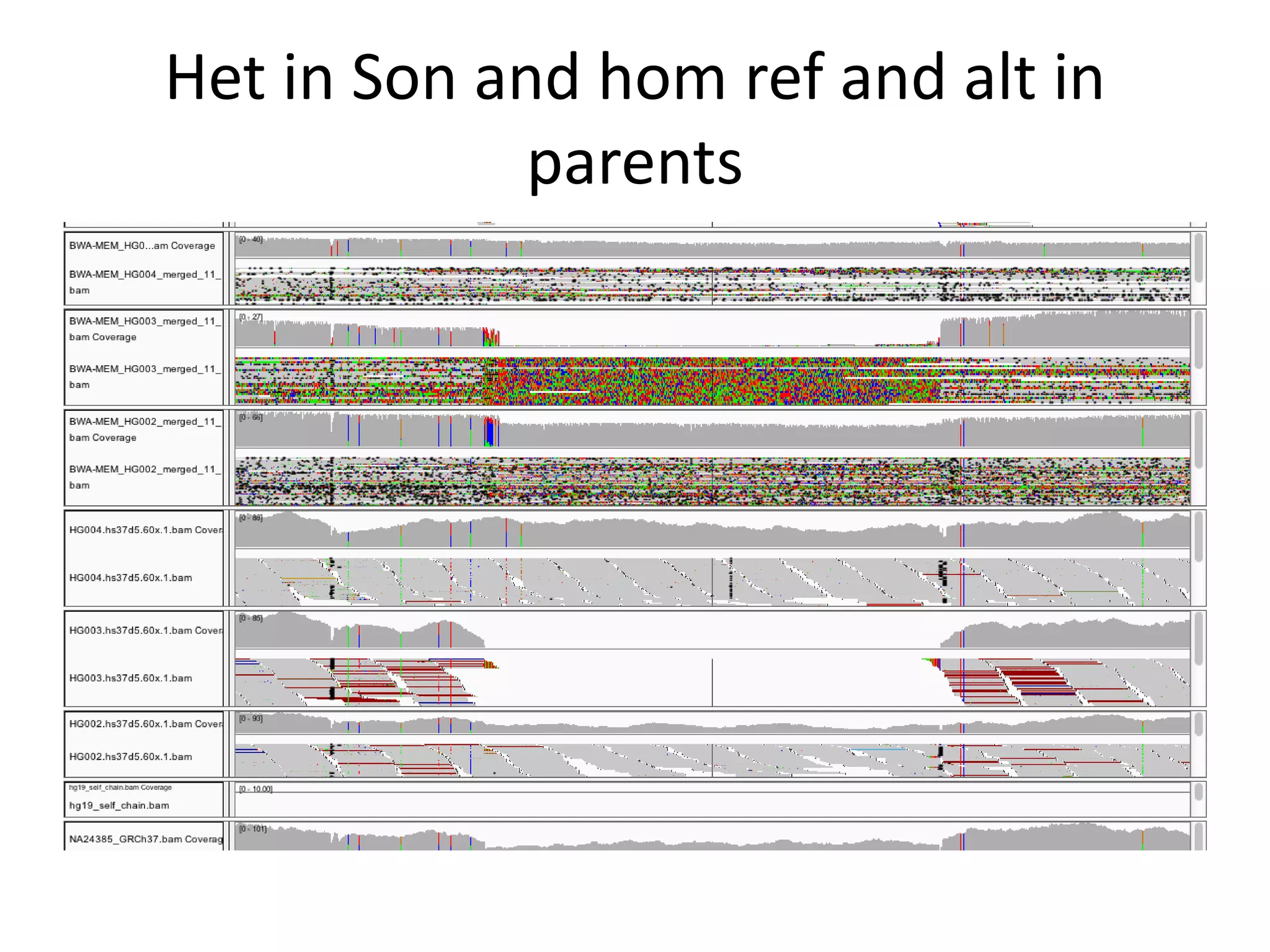 Het in Son and hom ref and alt in
parents
 