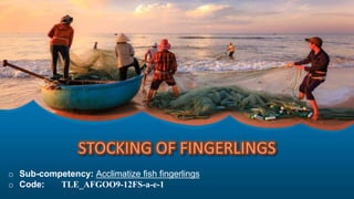 o Sub-competency: Acclimatize fish fingerlings
o Code: TLE_AFGOO9-12FS-a-e-1
 