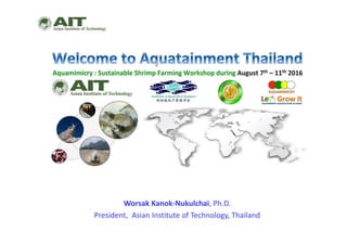 Worsak Kanok‐Nukulchai, Ph.D.
President,  Asian Institute of Technology, Thailand
 