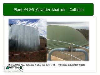 Plant #4 &5 Cavalier Abattoir - Cullinan
2 x 500m3 AD, 135 kW + 360 kW CHP, 15 – 40 t/day slaughter waste
 