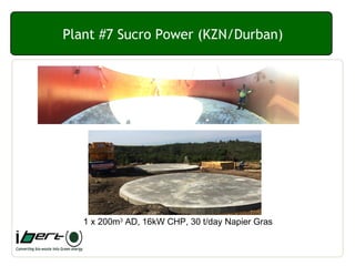 Plant #7 Sucro Power (KZN/Durban)
1 x 200m3
AD, 16kW CHP, 30 t/day Napier Gras
 