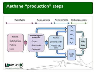 Methane “production” steps
 