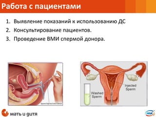 1. Выявление показаний к использованию ДС
2. Консультирование пациентов.
3. Проведение ВМИ спермой донора.
Работа с пациентами
 