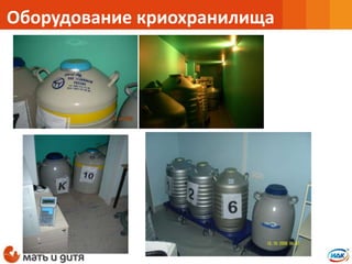 Оборудование криохранилища
 