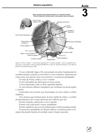 16090115102012Elementos_de_Anatomia_Humana_Aula_3.pdf