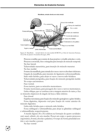 16090115102012Elementos_de_Anatomia_Humana_Aula_3.pdf