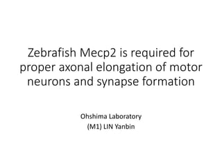 Zebrafish Mecp2 is required for
proper axonal elongation of motor
neurons and synapse formation
Ohshima Laboratory
(M1) LIN Yanbin
 