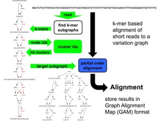 Variation reference graphs and the variation graph toolkit vg | PPT