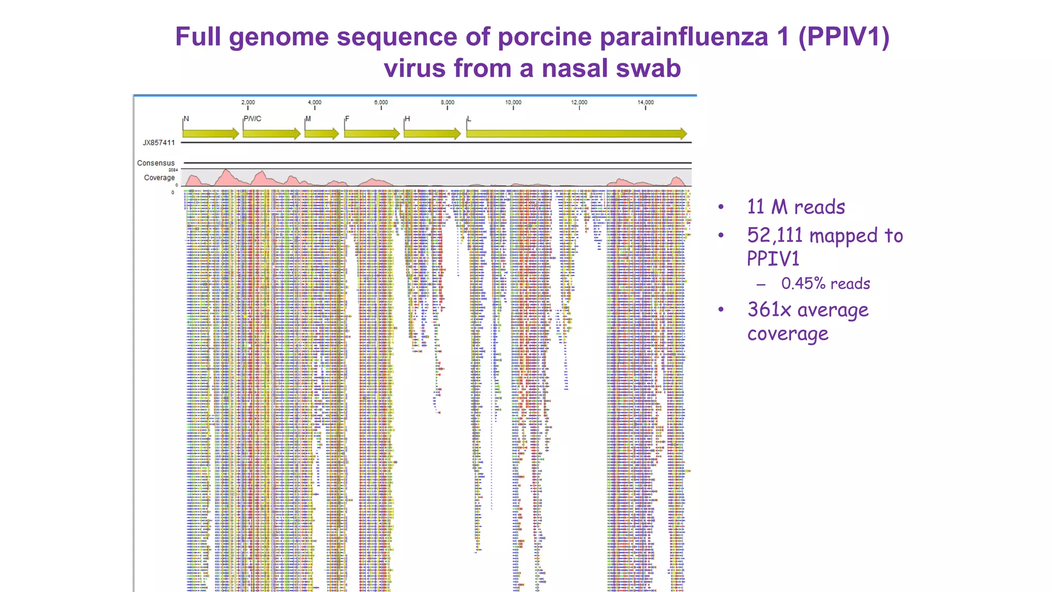 Full genome sequence of porcine parainfluenza 1 (PPIV1)
virus from a nasal swab
• 11 M reads
• 52,111 mapped to
PPIV1
– 0.45% reads
• 361x average
coverage
 