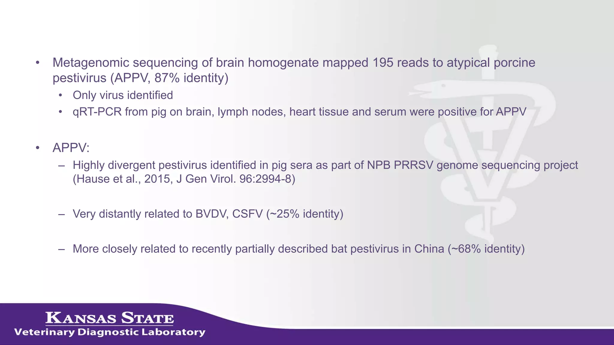 • Metagenomic sequencing of brain homogenate mapped 195 reads to atypical porcine
pestivirus (APPV, 87% identity)
• Only virus identified
• qRT-PCR from pig on brain, lymph nodes, heart tissue and serum were positive for APPV
• APPV:
– Highly divergent pestivirus identified in pig sera as part of NPB PRRSV genome sequencing project
(Hause et al., 2015, J Gen Virol. 96:2994-8)
– Very distantly related to BVDV, CSFV (~25% identity)
– More closely related to recently partially described bat pestivirus in China (~68% identity)
 