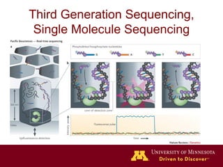 Dr. Douglas Marthaler - Use of Next Generation Sequencing for Whole ...