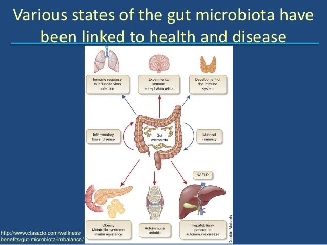 Dr. Heather Allen The Swine Gut Microbiota Status and Dr. Heather Allen The Swine Gut Microbiota Status and