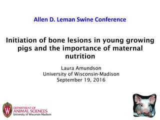 Initiation of bone lesions in young growing
pigs and the importance of maternal
nutrition
Allen D. Leman Swine Conference
Laura Amundson
University of Wisconsin-Madison
September 19, 2016
 