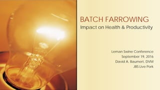 Impact on Health & Productivity
Leman Swine Conference
September 19, 2016
David A. Baumert, DVM
JBS Live Pork
BATCH FARROWING
 