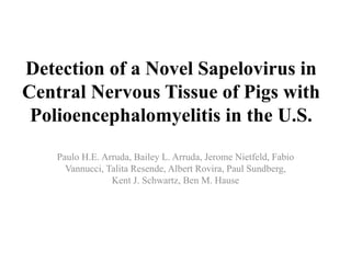 Detection of a Novel Sapelovirus in
Central Nervous Tissue of Pigs with
Polioencephalomyelitis in the U.S.
Paulo H.E. Arruda, Bailey L. Arruda, Jerome Nietfeld, Fabio
Vannucci, Talita Resende, Albert Rovira, Paul Sundberg,
Kent J. Schwartz, Ben M. Hause
 