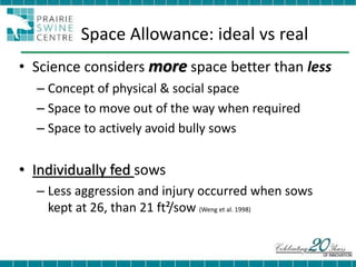 Dr. Jennie Brown - Weaning Sows Directly into Group Housing: Effects on ...