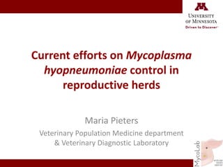 Current efforts on Mycoplasma
hyopneumoniae control in
reproductive herds
Maria Pieters
Veterinary Population Medicine department
& Veterinary Diagnostic Laboratory
 