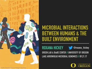 MICROBIAL INTERACTIONS
BETWEEN HUMANS & THE
BUILT ENVIRONMENT
ROXANA HICKEY
GREEN LAB & BioBE CENTER // UNIVERSITY OF OREGON
LAKE ARROWHEAD MICROBIAL GENOMICS // 09.21.16
@roxana_hickey
Credit: Gwenda Kacsor of Oregon Quarterly
 