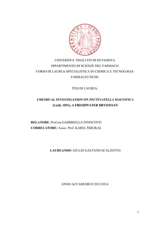 1
UNIVERSITA’ DEGLI STUDI DI PADOVA
DIPARTIMENTO DI SCIENZE DEL FARMACO
CORSO DI LAUREA SPECIALISTICA IN CHIMICA E TECNOLOGIA
FARMACEUTICHE
TESI DI LAUREA:
CHEMICAL INVESTIGATION ON PECTINATELLA MAGNIFICA
(Leidy 1851), A FRESHWATER BRYOZOAN
RELATORE: Prof.ssa GABBRIELLA INNOCENTI
CORRELATORE: Assoc. Prof. KAREL ŠMEJKAL
LAUREANDO: GIULIO GAETANO SCALZOTTO
ANNO ACCADEMICO 2013/2014
 