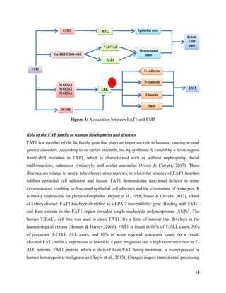 160_IPSITA SAHOO_THESIS (1).pdf