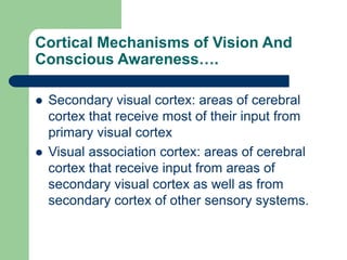 Visual Cortex Mechanism 160 report | PPT