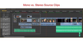 Mono vs. Stereo Source Clips
 