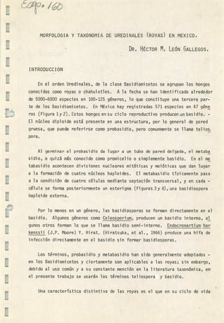 MORFOLOGIA Y TAXONOMIA DE UREDINALES (ROYAS) EN MEXICO1
DR. HÉCTOR M. LEÓN GALLEGOS.
INTRODUCC ION
u En el orden lJredinales, de la clase Basidiomicetos se agrupan los hongos
conocidos como royas o chahuixtles. A la fecha se han identificado alrededor
de 5000-6000 especies en 100-125 géneros, lo que constituye una tercera par-
te de los Basidiomicetos. En México hay registradas 571 especies en 47 géne
ros (Figura 1y2). Estos hongos en su ciclo reproductivo producen un basidio. -
El núcleo diploide está presente en una estructura, por lo general de pared
gruesa, que puede referirse como probasidio, pero comunmente se llama telios
pora.
Al germinar el probasidio da lugar a un tubo de pared delgada, el metaba
sidio, o quizá más conocido como promicelio o simplemente basidio. En el me
tabasidio acontecen divisiones nucleares mitóticas y meióticas que dan lugar
a la formación de cuatro núcleos haploides. El metabasidio toicamente pasa
a la condición de cuatro células mediante septación transversal, y en cada -
célula se forma posteriormente un esterigma (Figuras 3y 4), una basidiospora
haploide externa.
Por lo menos en un género, las basidiosporas se forman directamente en el
basidio. Algunos géneros como Coleosporium, producen un basidio interno, al
gunos otros forman lo que se llama basidio semi-interno. Endocronartium har
kenssii (J.P. Moore) Y. Hirat. (Hiratsuka, et al., 1966) produce una hifa de
infección directamente en el basidio sin formar basidiosporas.
Los términos, probasidio y metabasidio han sido generalmente adoptados -
en los Basidiomicetos y ciertamente son aplicables a las royas; sin embargo,
debido al uso común y a su constante mención en la literatura taxonómica, en
' el presente trabajo se usarán los términos teliospora y basidio.
Una característica distintiva de las royas es el que en su ciclo de vida
 