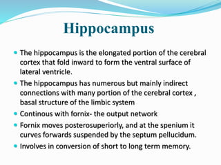 Hippocampus
 The hippocampus is the elongated portion of the cerebral
cortex that fold inward to form the ventral surface of
lateral ventricle.
 The hippocampus has numerous but mainly indirect
connections with many portion of the cerebral cortex ,
basal structure of the limbic system
 Continous with fornix- the output network
 Fornix moves posterosuperiorly, and at the spenium it
curves forwards suspended by the septum pellucidum.
 Involves in conversion of short to long term memory.
 