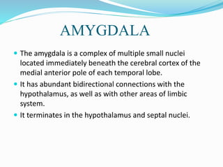 AMYGDALA
 The amygdala is a complex of multiple small nuclei
located immediately beneath the cerebral cortex of the
medial anterior pole of each temporal lobe.
 It has abundant bidirectional connections with the
hypothalamus, as well as with other areas of limbic
system.
 It terminates in the hypothalamus and septal nuclei.
 