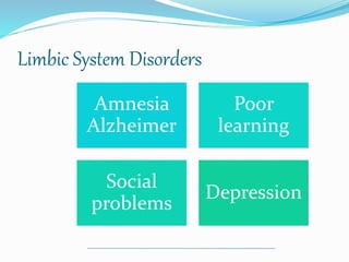 Limbic System Disorders
Amnesia
Alzheimer
Poor
learning
Social
problems
Depression
 